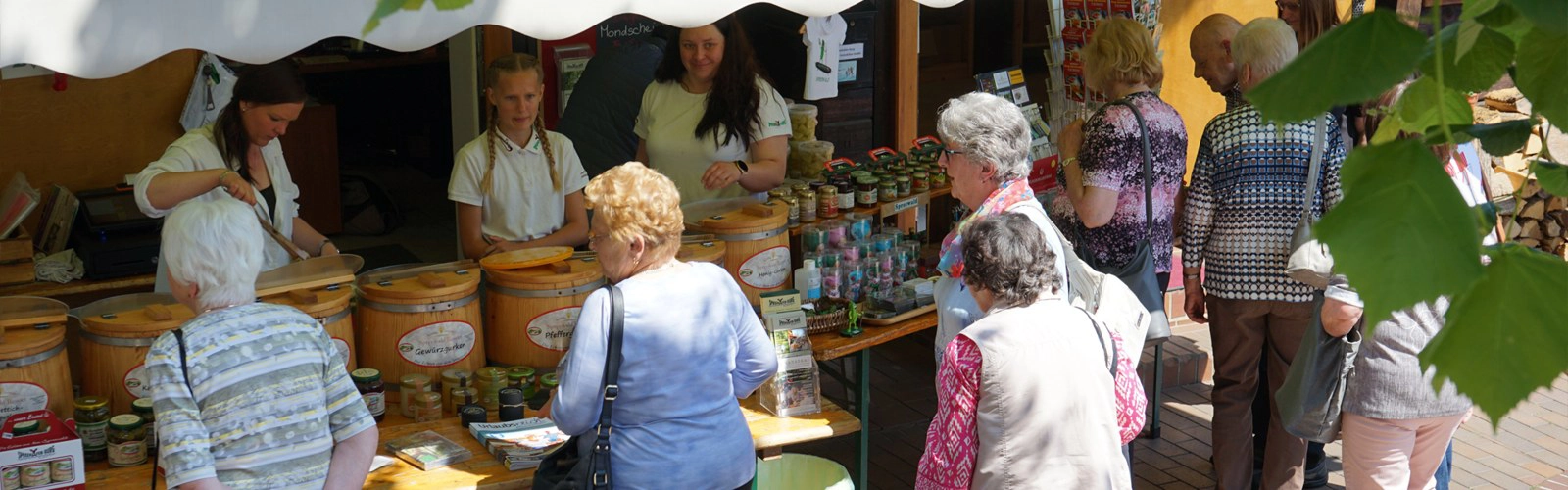 Gurkenstand und Hofladen am Spreehafen Burg