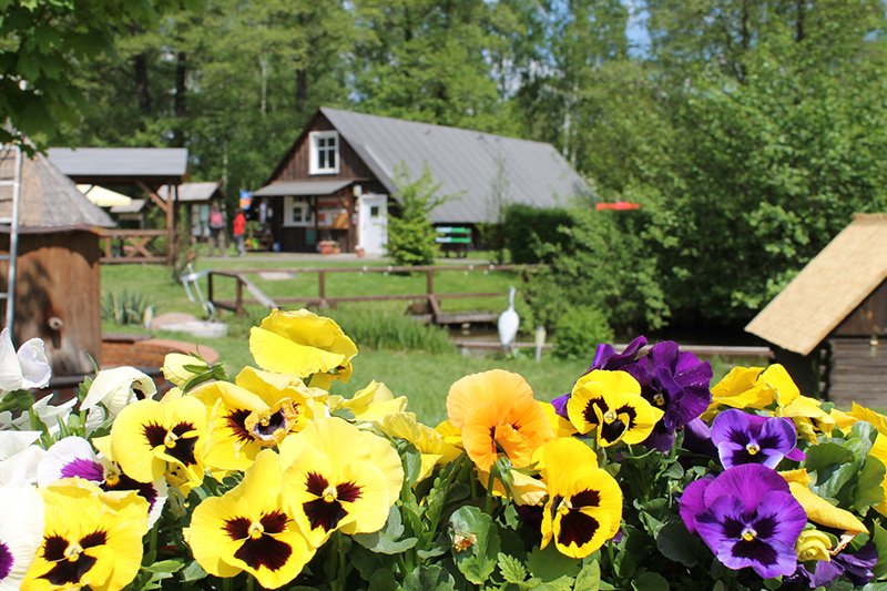 Spreewald - ...läuft gut