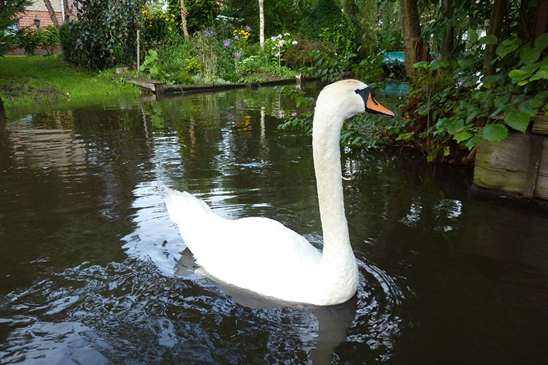 Spreewald - ...natürlich gut