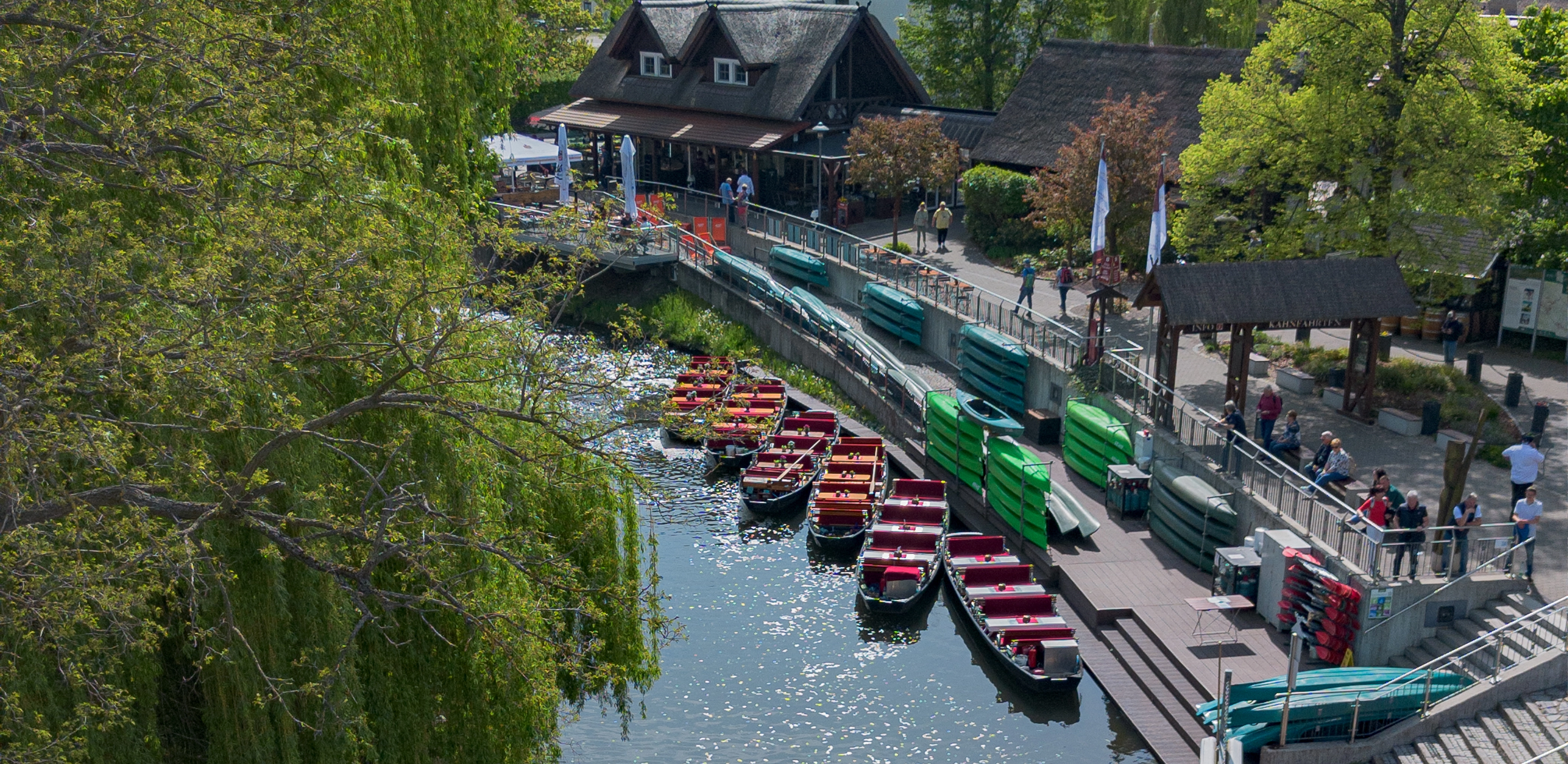 Sommerlicher Blick am Spreehafen Burg mit Wasser und Natur